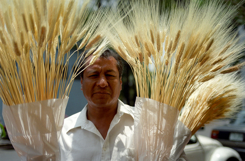 México D.F. 1999