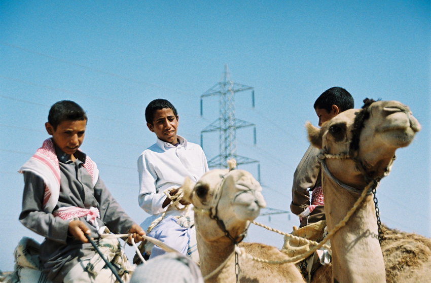 Camel Races near Nuweiba, Egypt 2010 Camel Races near Nuweiba, Egypt 2010